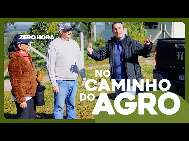 Beyond chimarrão: the power of gaúcha yerba mate | On the Road with Agribusiness #005