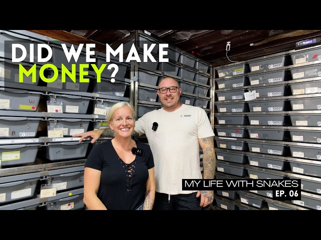 We Finally Reveal What Our Ball Python Business Actually Makes 💰🐍 | Ep. 06