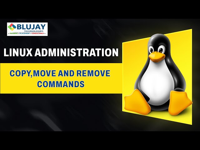 5 Critical Linux File Command Mistakes to Avoid