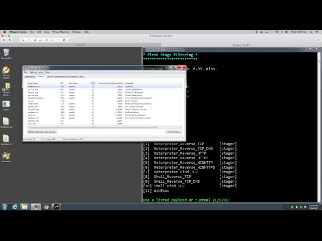 Shellcode Injection in Chrome DLL with Shellter Pro v2.0