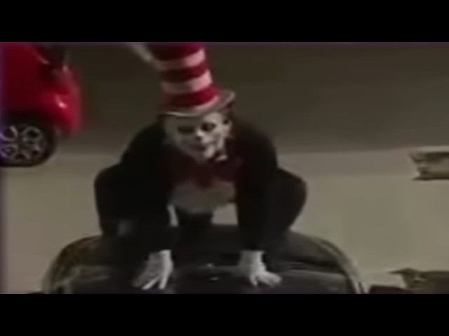 Scary Cat in the Hat Trend Causing Panic
