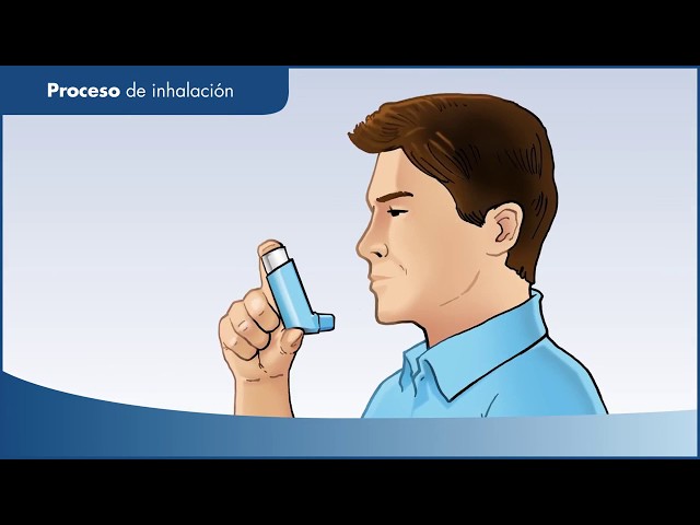 Cómo utilizar Aerosona inhalador 250 microgramos/inhalación