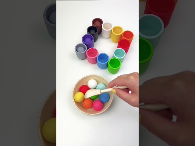 Satisfying color sorting ASMR! #satisfying #sorting #colorsorting