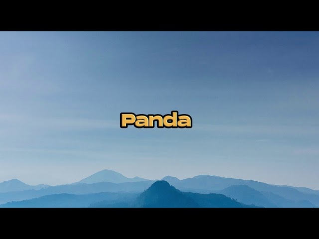 Desiigner - Panda [ 1 HOUR ]
