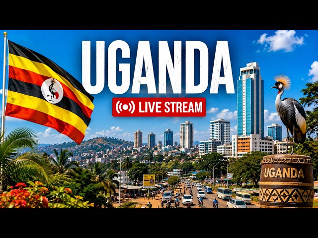 UGANDA LIVE 🌍 | The Pearl of Africa | Culture, Real Life | #viral #viralvideo #fyp #live #uganda