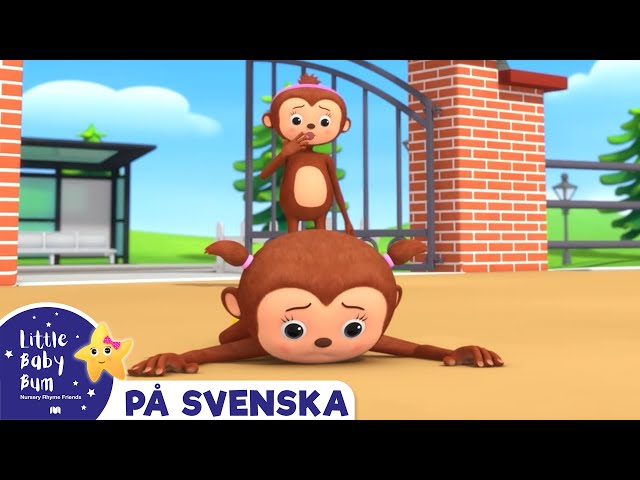 Fem söta apor | Little Baby Bum Svenska | Barnvisor