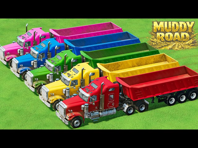 TRUCKS OF COLORS! Heavy AmericanTRUCKS + 5 TON COLORED Sunflower Delivery – Farming Simulator 22