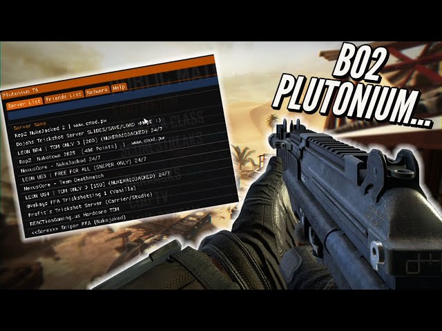 I Finally Played Black Ops 2 Plutonium.. (NO MODDERS)