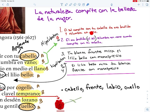Video 7: Analysis of Sonnet CLXVI "While competing with your hair" by Luis de Argote y Góngora