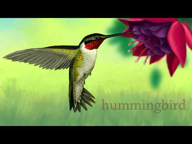 Backyard Animals for Kids | Zoo animals for preschool and kindergarten