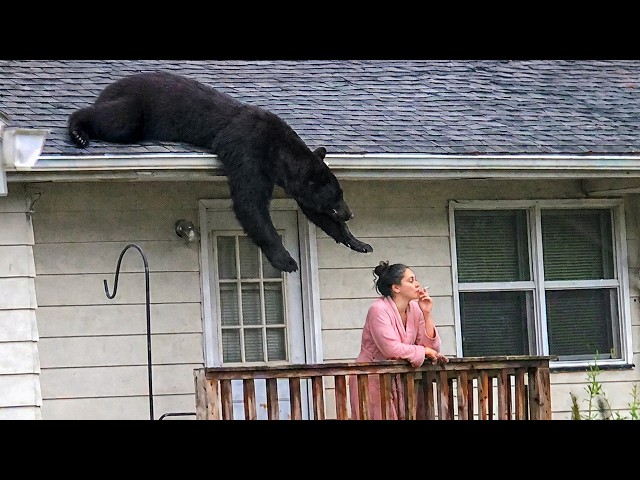 Best Fails of the Week 😂 Try Not to Laugh