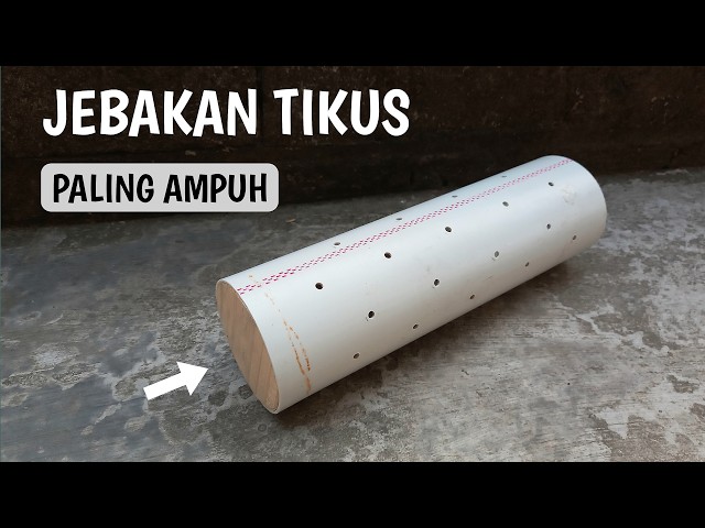 PERANGKAP TIKUS DARI PIPA PARALON / PIPA PVC #mousetrap 