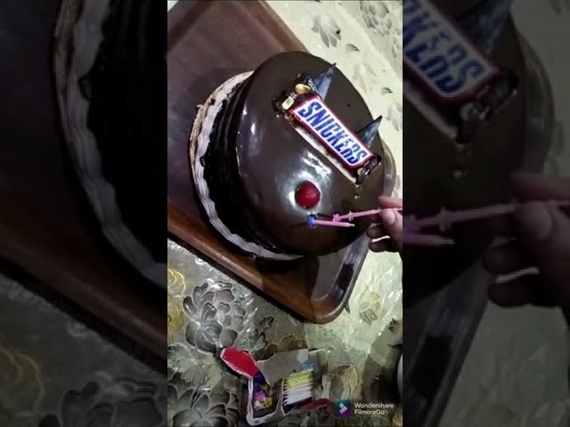 Zoha Ali Birthday.....!