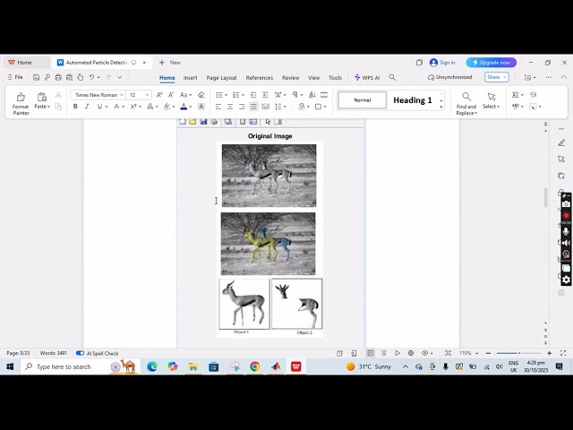 Automated Particle Detection in MATLAB | Image Processing for Object Detection & Quantification