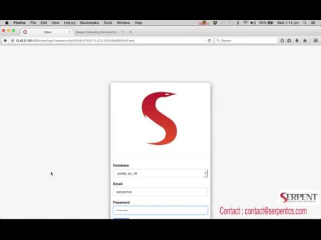 ODOO Qweb Report Customisation Development
