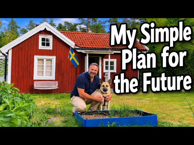 Alone In My Scandinavian Cottage