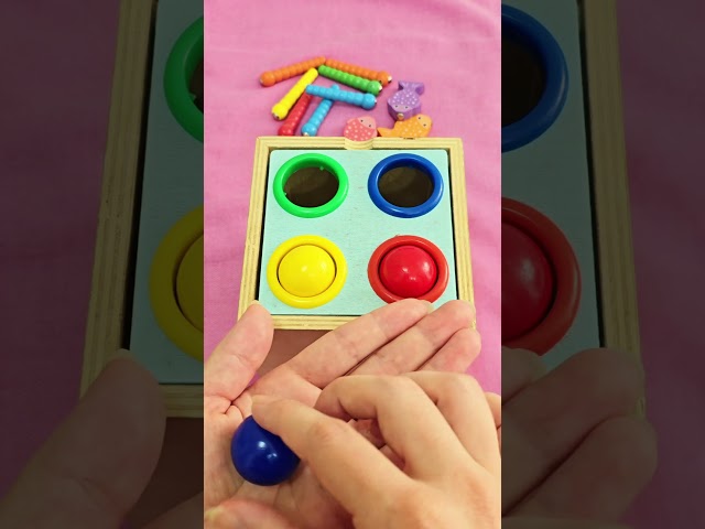 Learn Colors with Hammer Toy #learnwithtoys #funlearning #toys