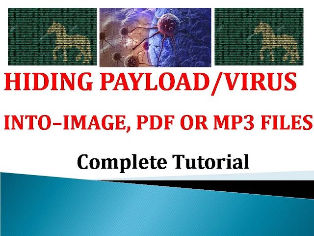 How to hide payload into image, PDF or MP3 Files- PART 11