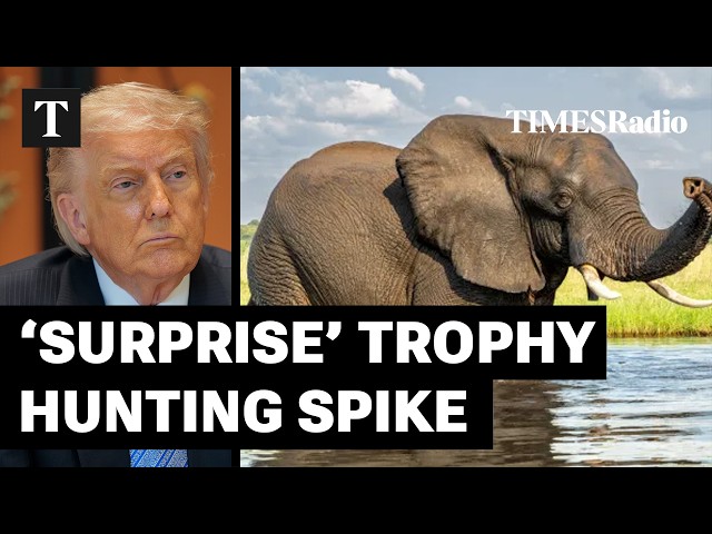 Trump Appears To Relax Rules On Elephant Trophy Hunting Imports