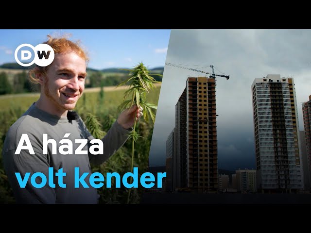 Beszívni nem fogsz tőle, a betont viszont leválthatod: a kender a jövő fenntartható építőanyaga?