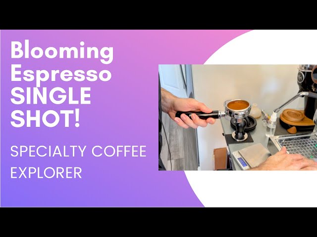 Blooming Espresso SINGLE SHOT