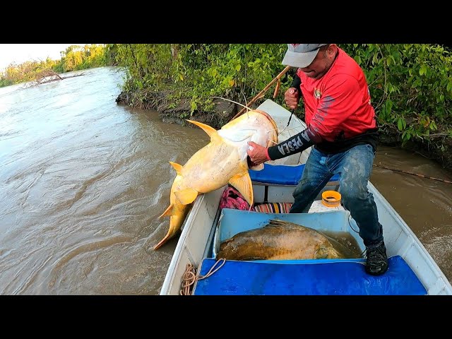 Fishing with 1 kilo baits, fishing with giant baits.