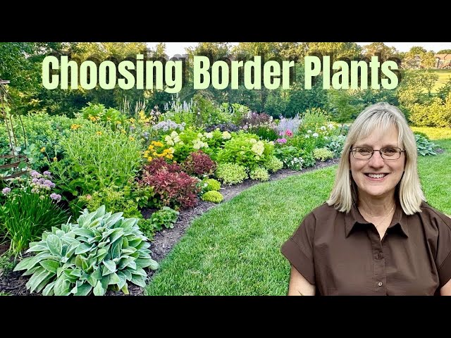 My Top 10 Border Plants