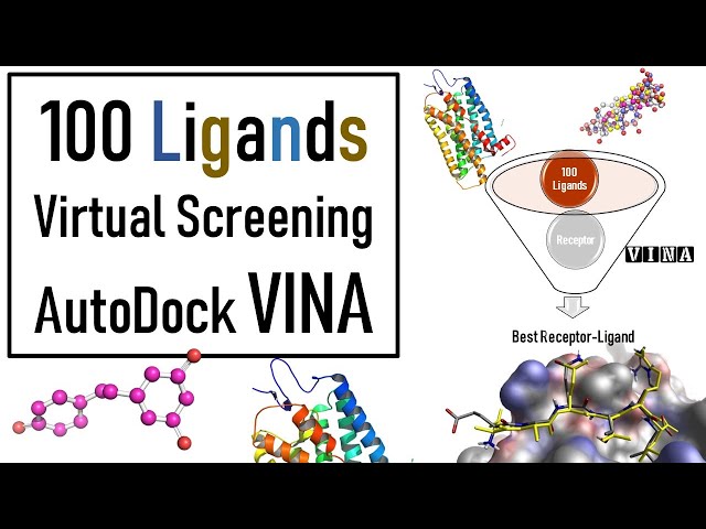 Molecular Docking  | Autodock VINA Virtual Screening  | VINA Docking tutorial | Bioinformatics