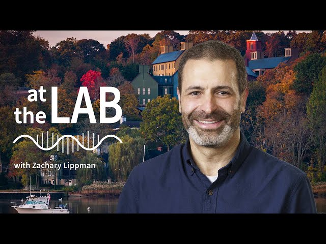 At the Lab Ep. 1: The tomato of tomorrow