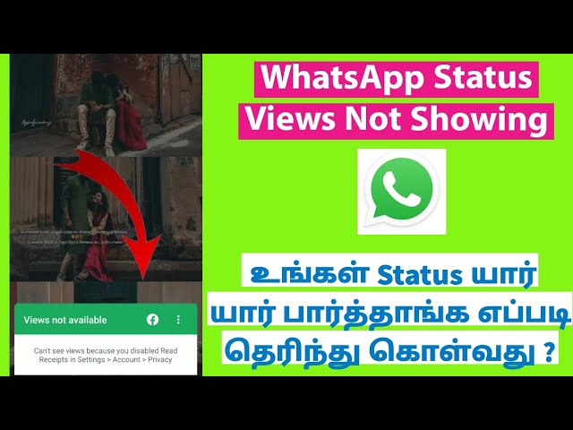 How To Fix WhatsApp Status Views Not Showing in Tamil
