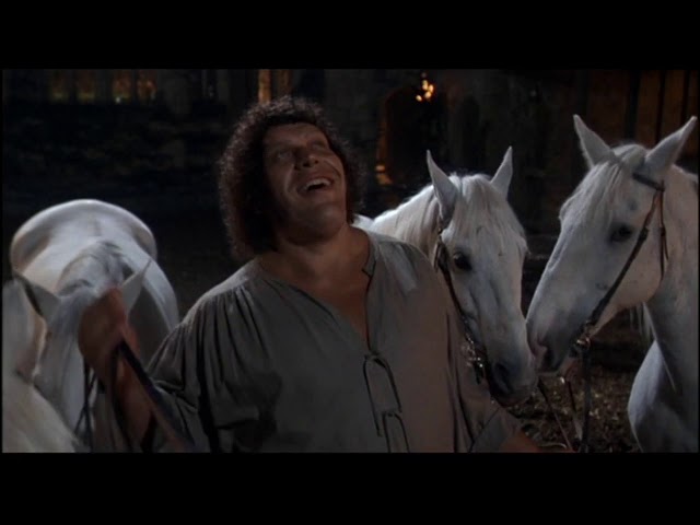 Hello Lady - Fezzik [Andre the Giant]