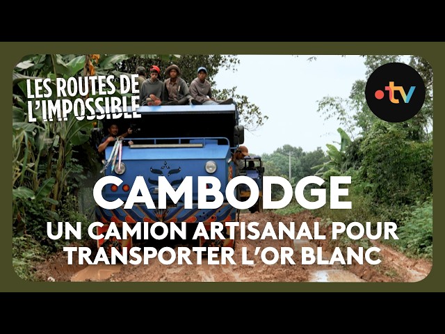 Rubber in Cambodia: A Dangerous Business - World's Most Dangerous Roads