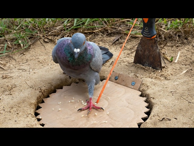 UNUSUAL MEMES COMPILATION V368