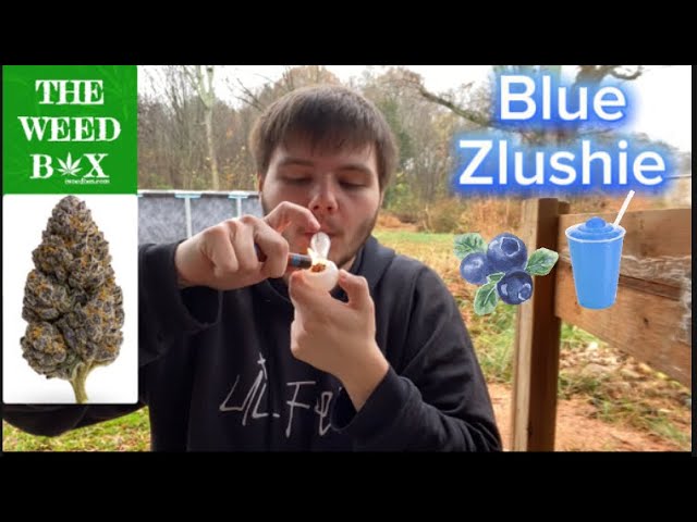 Blue Zlushie Strain Review from TWB! - Really Good Strain Nice Flavor