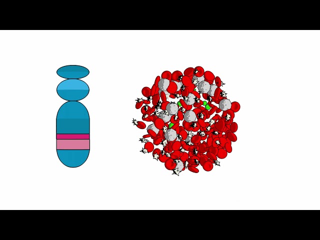 Leucemia mieloide crónica (LMC) y tus genes