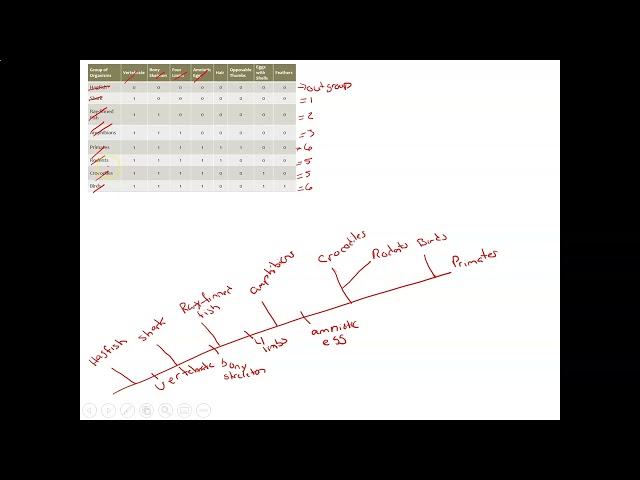 Classification Part 3_PS/Honors