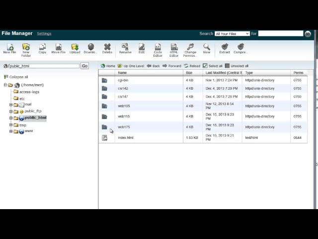 Website design: CPanel