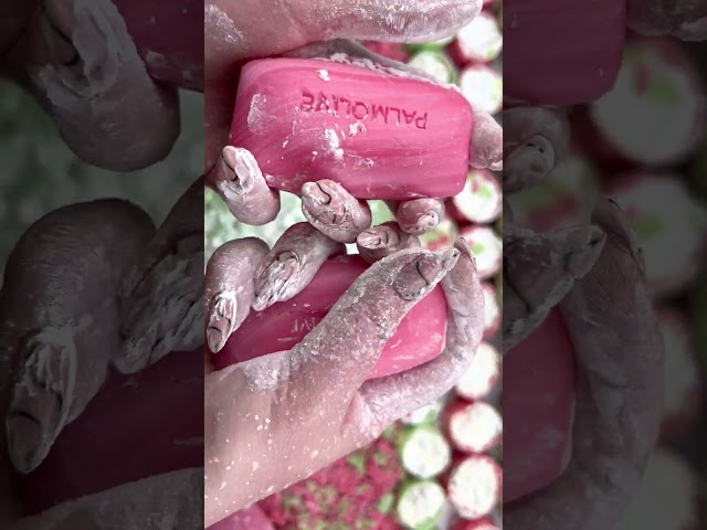 Crushing SOAP BOXES with STARCH | Satisfying soap ASMR