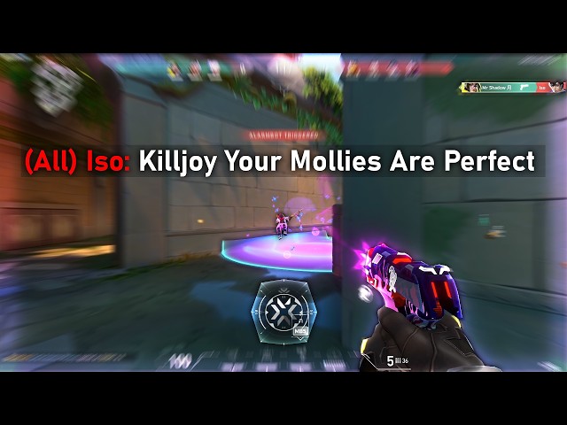Perfect Killjoy Mollies = Angry Duelists 👑