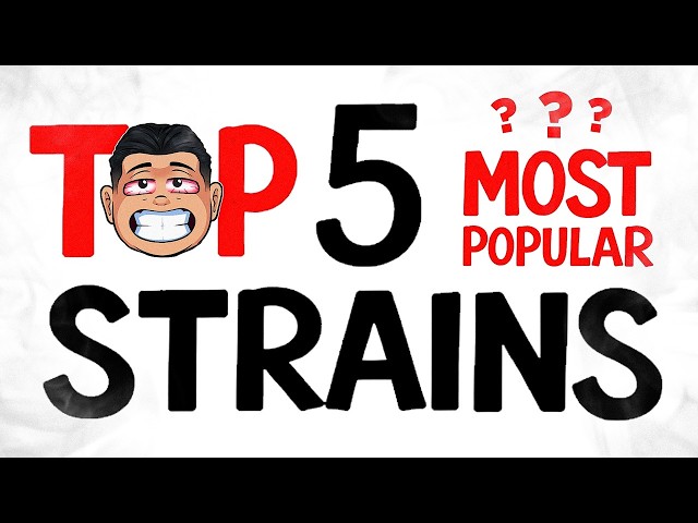 The MOST Popular CANNABIS Strains Ever