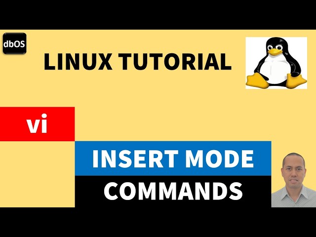 vi insert mode commands