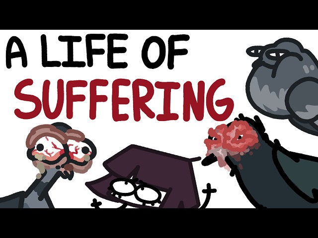 the cruel reality of fancy pigeons