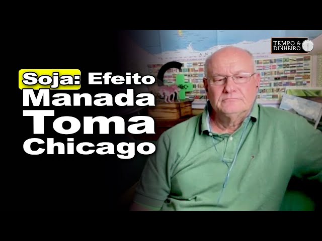 Chicago enters herd mode and soybeans feel the impact