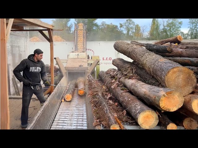 Extreme Wood Processing: How Massive Logs Are Turned Into Fine Chips?