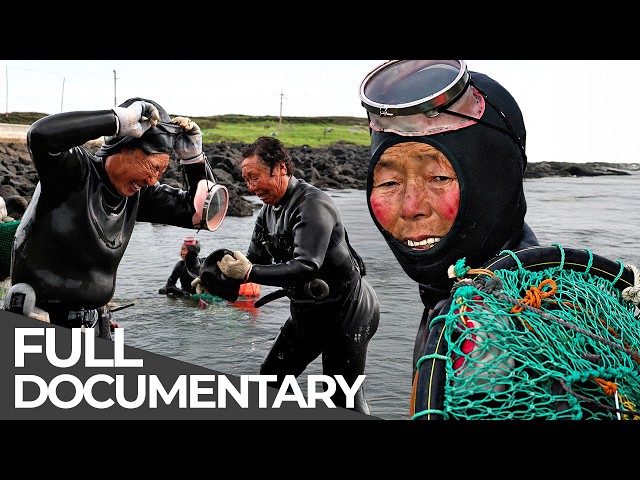 World's Oldest Divers | Haenyeo: South Korea's Most Dangerous Tradition | Free Documentary