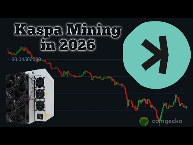 Kaspa Mining 2026: 5 Bitmain KS5 Pro's. Profitability results so far! Is it still worth it?