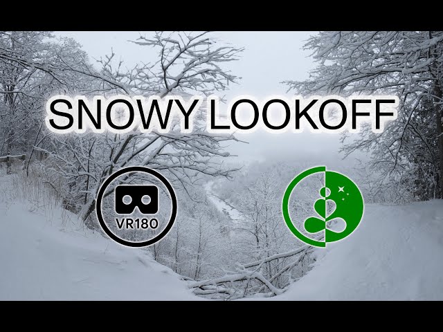 ❄️ VR180 Nature Escape | Snowy Forest Ravine Lookoff | Relaxation & Calm Ambience ❄️