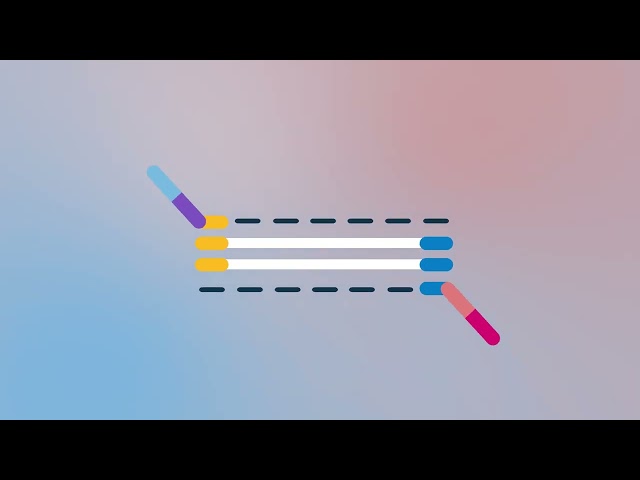 Illumina Target Enrichment Workflow