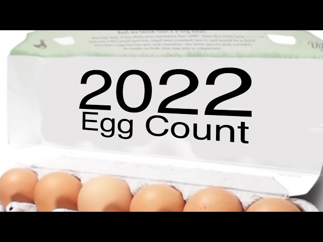 HowToBasic 2022 EGG COUNT