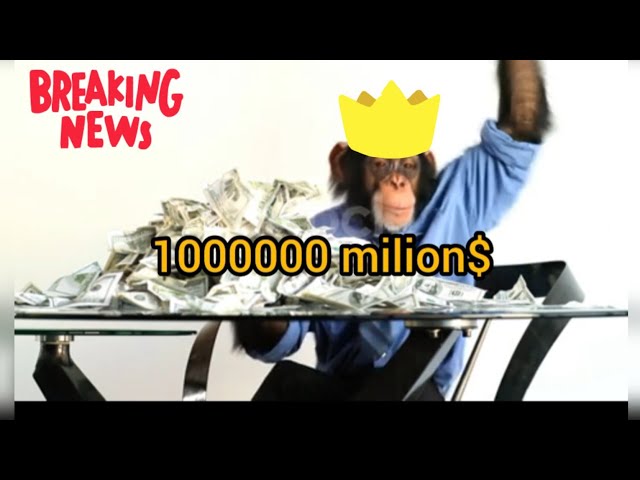 the monkey won the lottery 1 milion dollars $$$$ win monkey